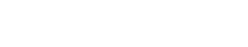 g1019